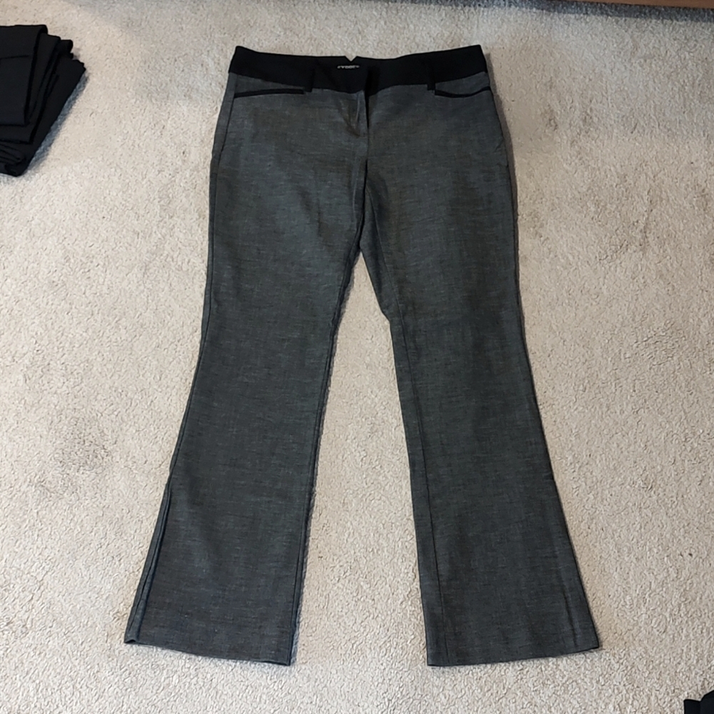 Express Brand Columnist Work Pant